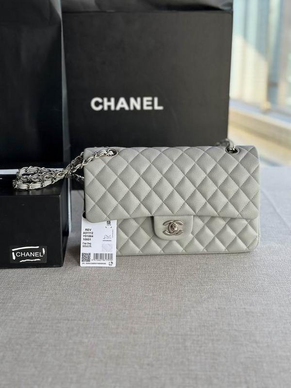 Chanel Handbags 309